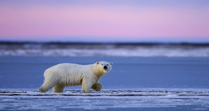 Alaska